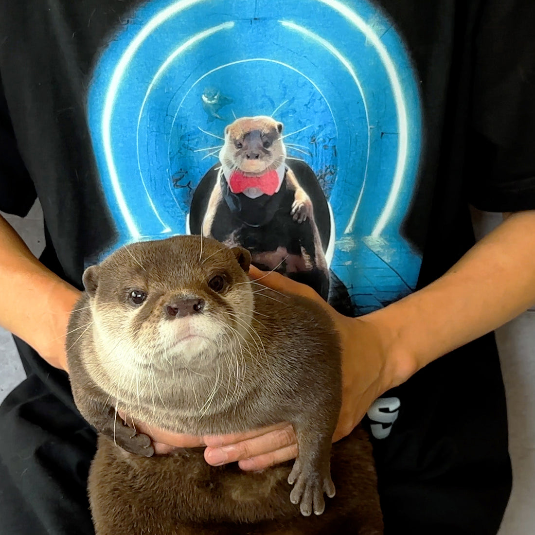 カワウソ「X-OTTERS」Tシャツ