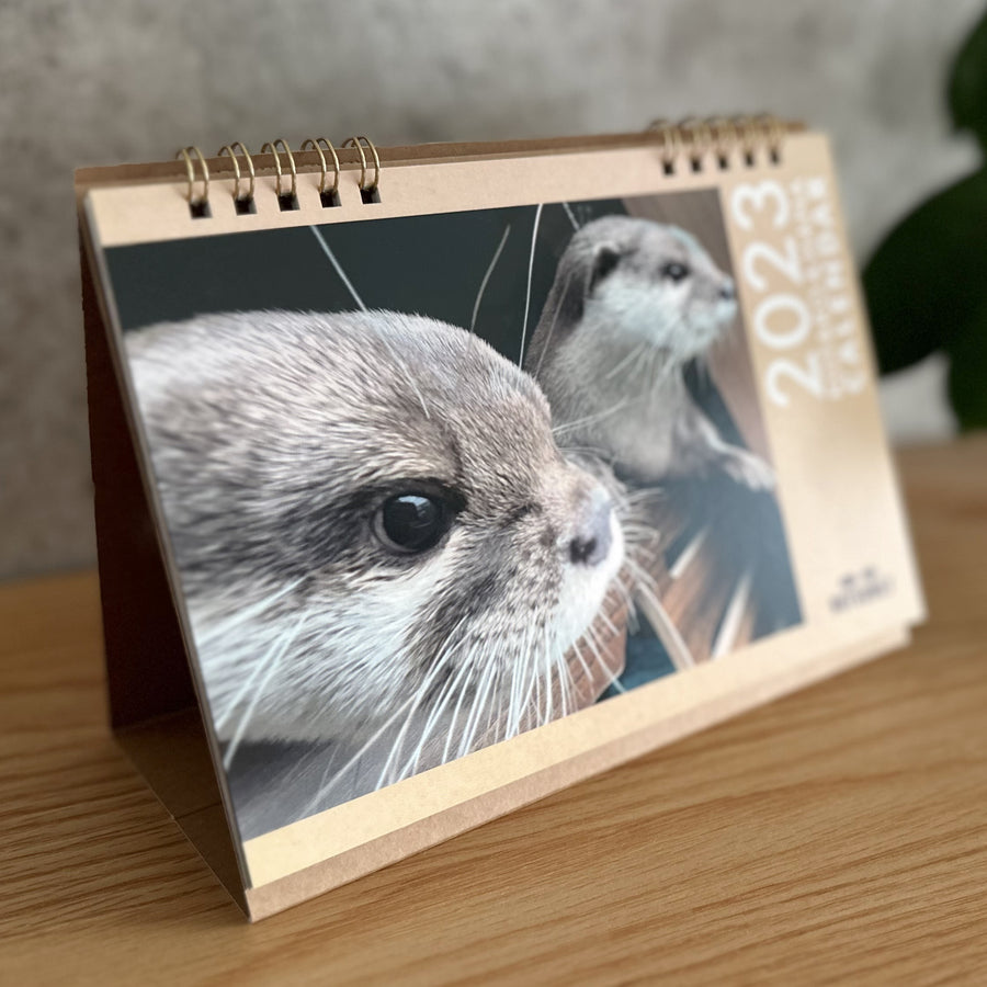 カワウソコタローとハナ　デスクカレンダーB
